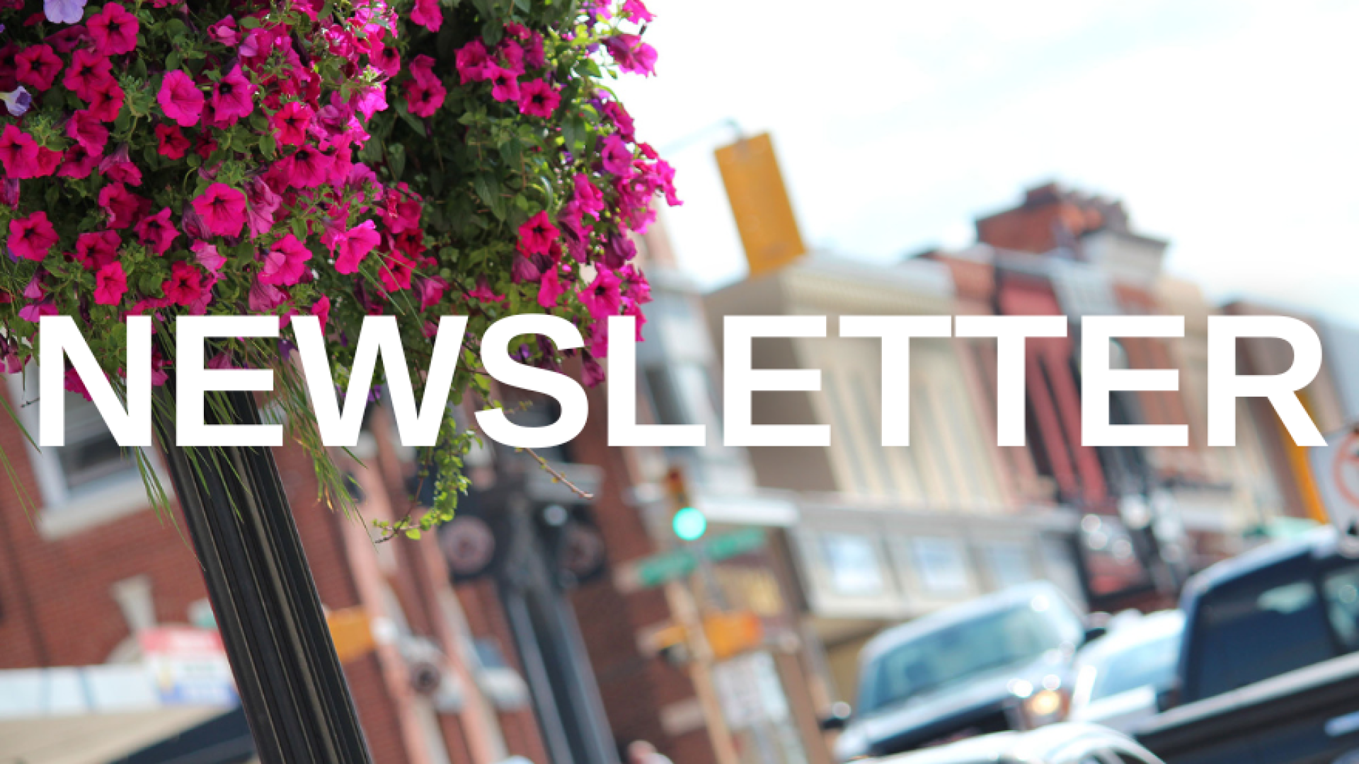 Newsletter banner with a photo of downtown Hanover, blooming pink flowers and business buildings blurred out in the background